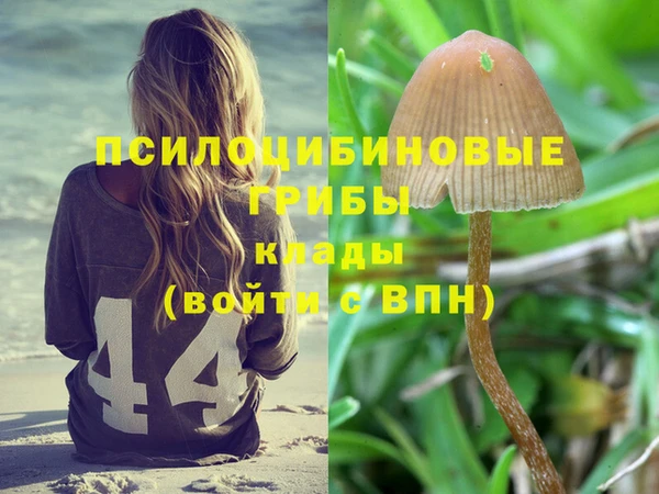mdpv Белокуриха