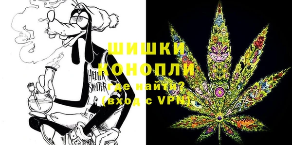 mdpv Белокуриха